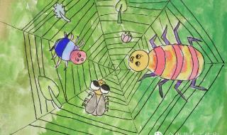 发挥想象,蜘蛛开店还会卖什么 蜘蛛开店续编故事