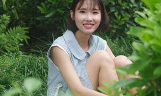 青青河边草分集介绍 青青河边草分集介绍