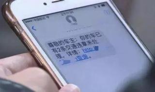 广州交通违章办理地址 广东交通违章记录查询