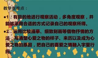 五年级上册习作三