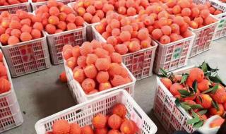 如何处理滞销宝贝